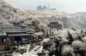 又见绝平！山东泰山与迈阿密热火鏖战至终场，陈梦读秒救主的简单介绍